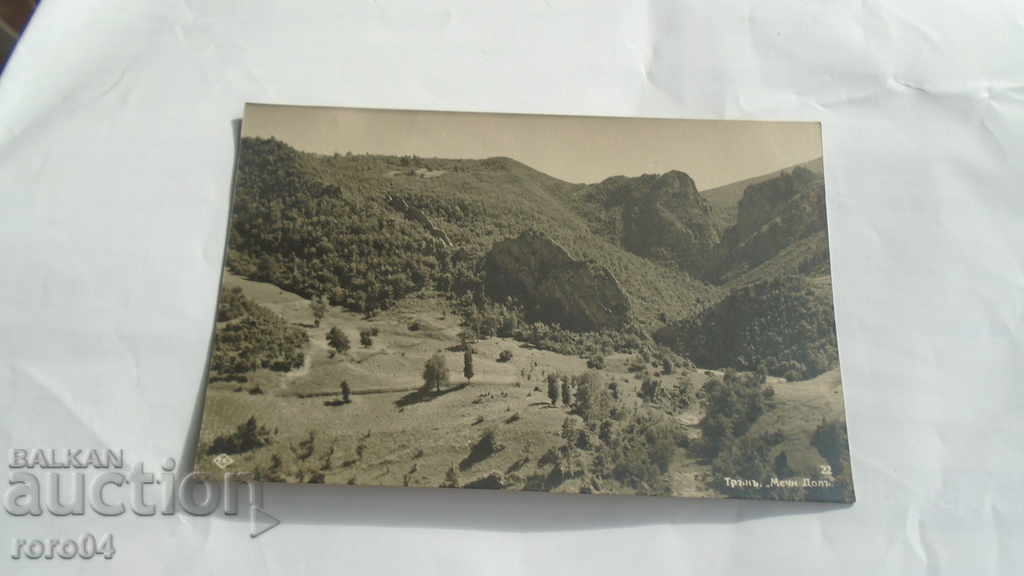 Auction THORN - BEAR DOL Auction THORN - BEAR DOL