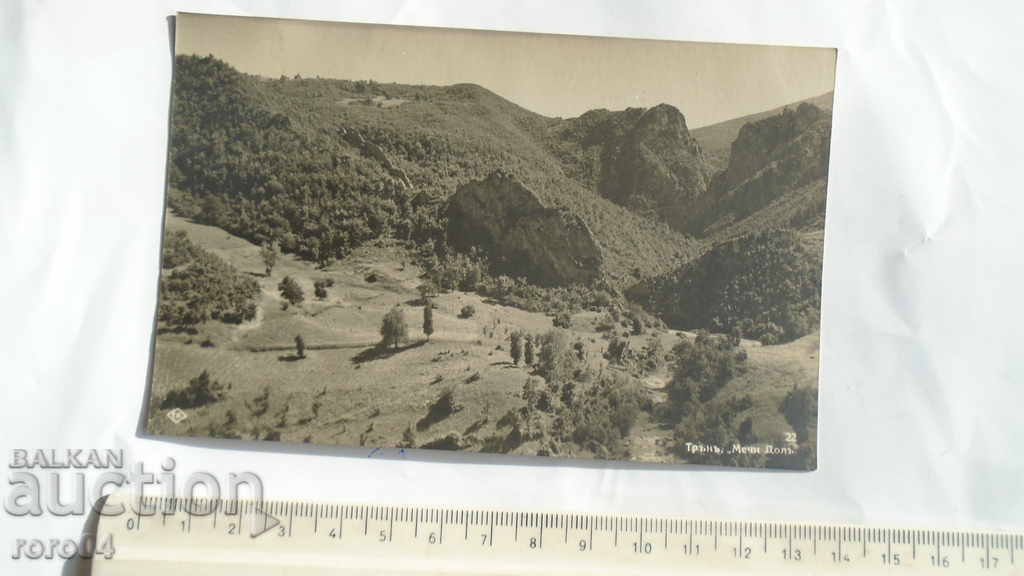 THORN - BEAR DOL - 6