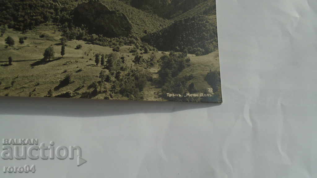 THORN - BEAR DOL - 7