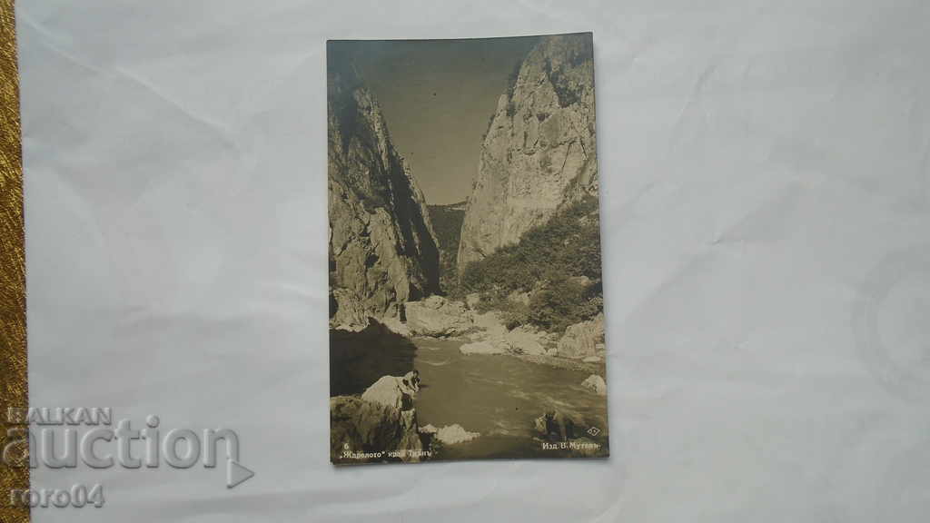 THORN - THE THROAT με τιμή € 7.99 | 15.63 BGN