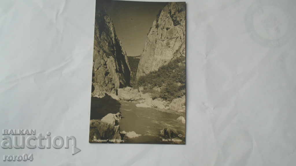 THORN - THE THROAT - 7 THORN - THE THROAT - 7