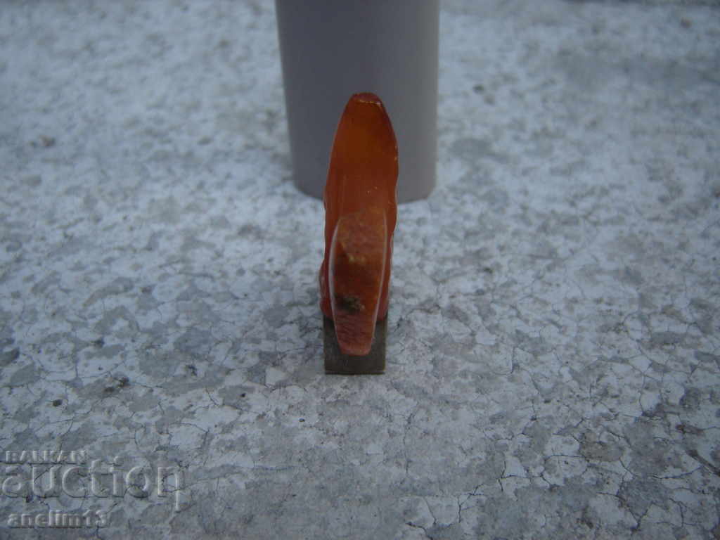 Livrarea AMBRĂ VEVERIȚĂ