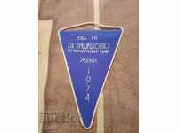 Old flag of the March 8th Rally 1974