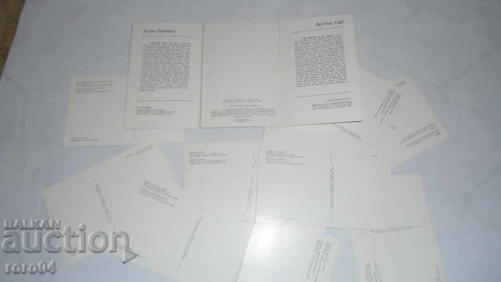 BACTRIAN GOLD - BACTRIAN GOLD - 7 BACTRIAN GOLD - BACTRIAN GOLD - 7