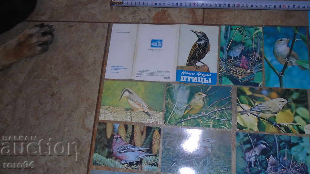 OUR FRIENDS OF BIRDS with price 25.00 BGN | € 12.78