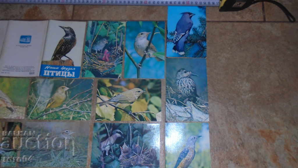 Delivery of OUR FRIENDS OF BIRDS