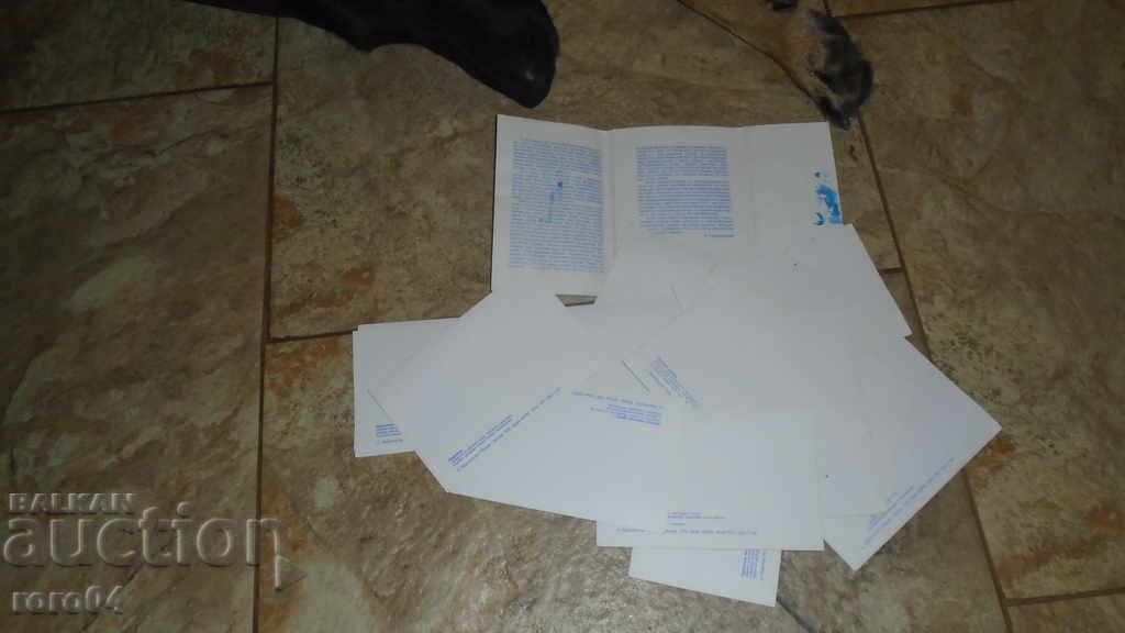 OUR FRIENDS OF BIRDS - 7