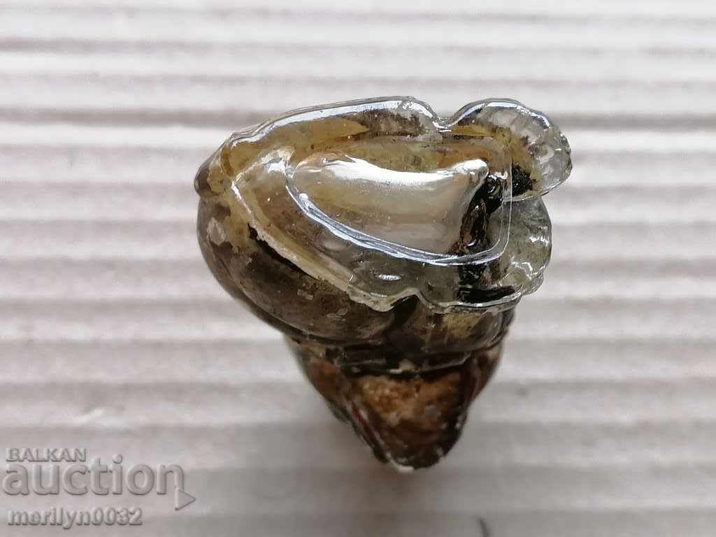 Old perfume bottle, bottle bottle cologne bottle - 6 Old perfume bottle, bottle bottle cologne bottle - 6