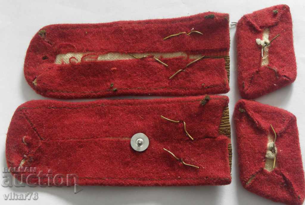 Licitație Lăstari sociali Licitație Lăstari sociali