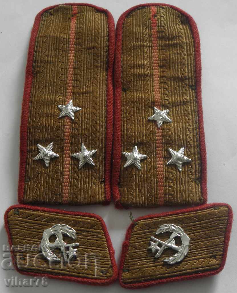 Lăstari sociali Lăstari sociali