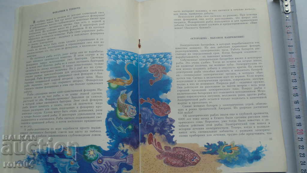 SWIMMING CHAMPION - M. ASPIZ - 6 SWIMMING CHAMPION - M. ASPIZ - 6