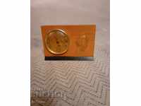 Termometru suvenir vechi