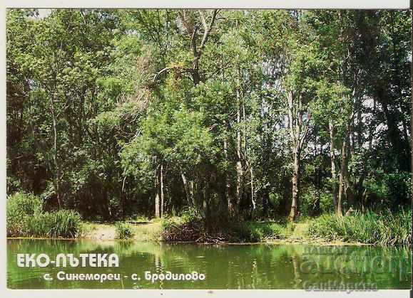 Card Bulgaria Sinemorets Burgas Eco-trail 3 *