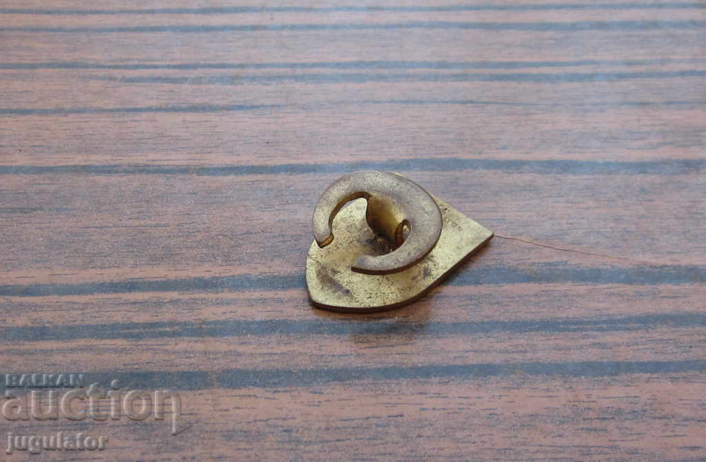 Доставка на стара Английска значка знак 1934 г. комисия по преброяването Доставка на стара Английска значка знак 1934 г. комисия по преброяването