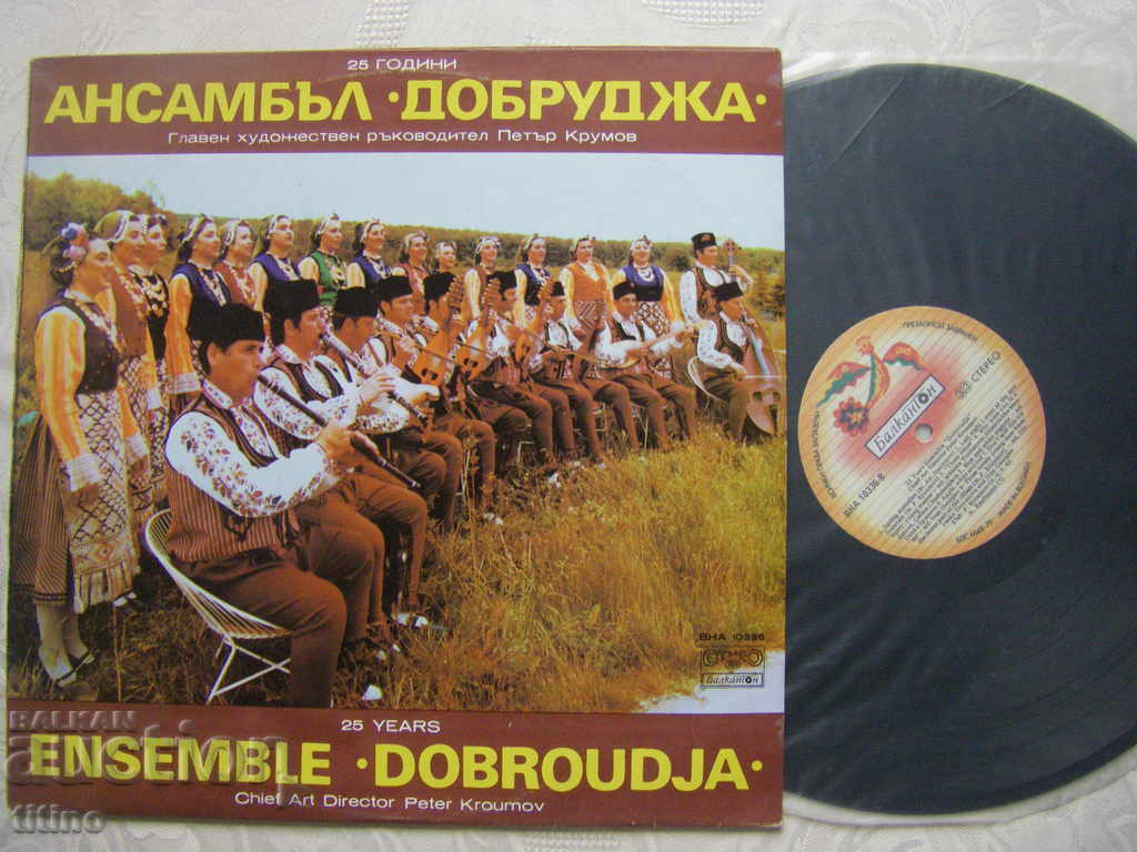 VNA 10336 - Ansamblul Dobrogea - 25 de ani cu preț € 25.00 | 48.90 BGN