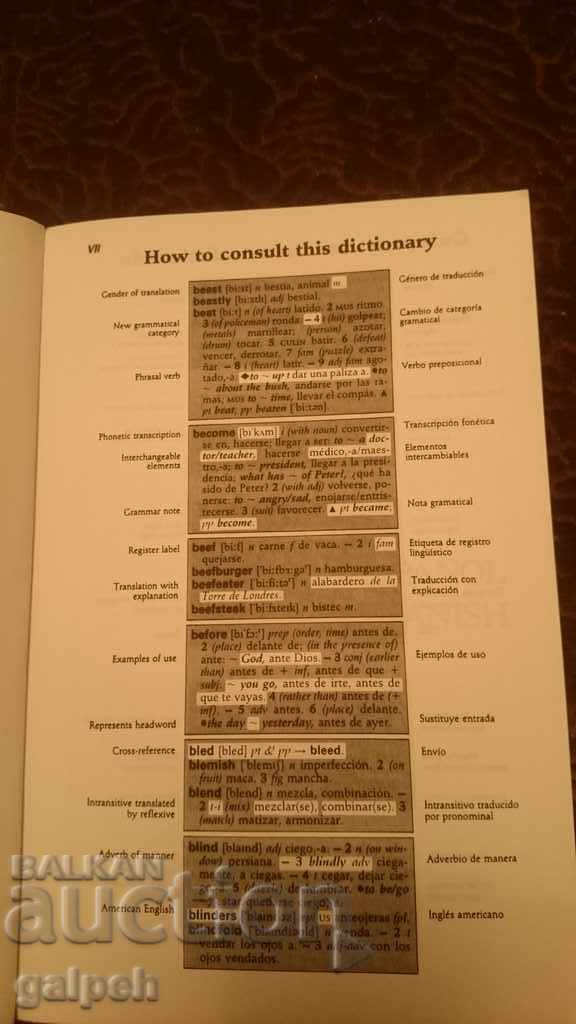 Auction  BOOK OF CONNOISSEURS - SPANISH - ENGLISH DICTIONARY