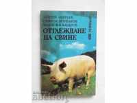 Raising pigs - Andrey Andreev and others. 1996