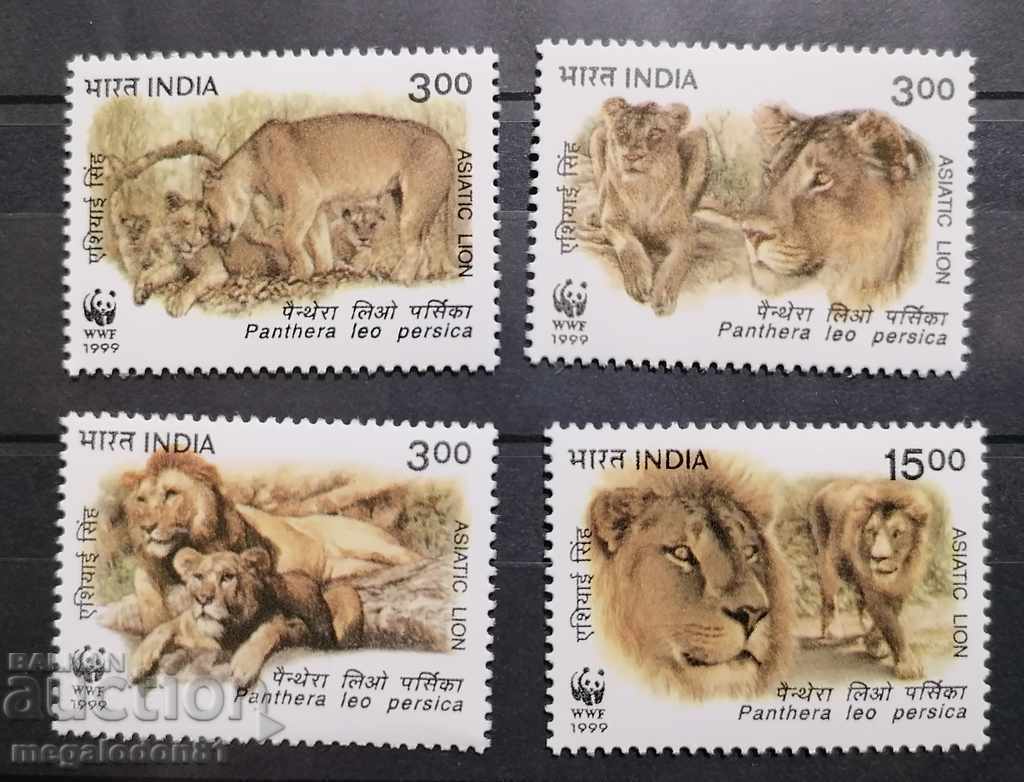 India - Asian Lion, WWF