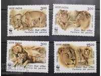 India - Leul asiatic, WWF