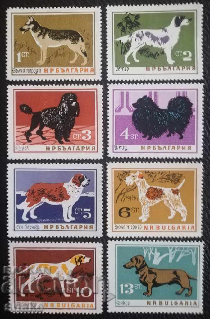 България 1964г. БК 1519/26
