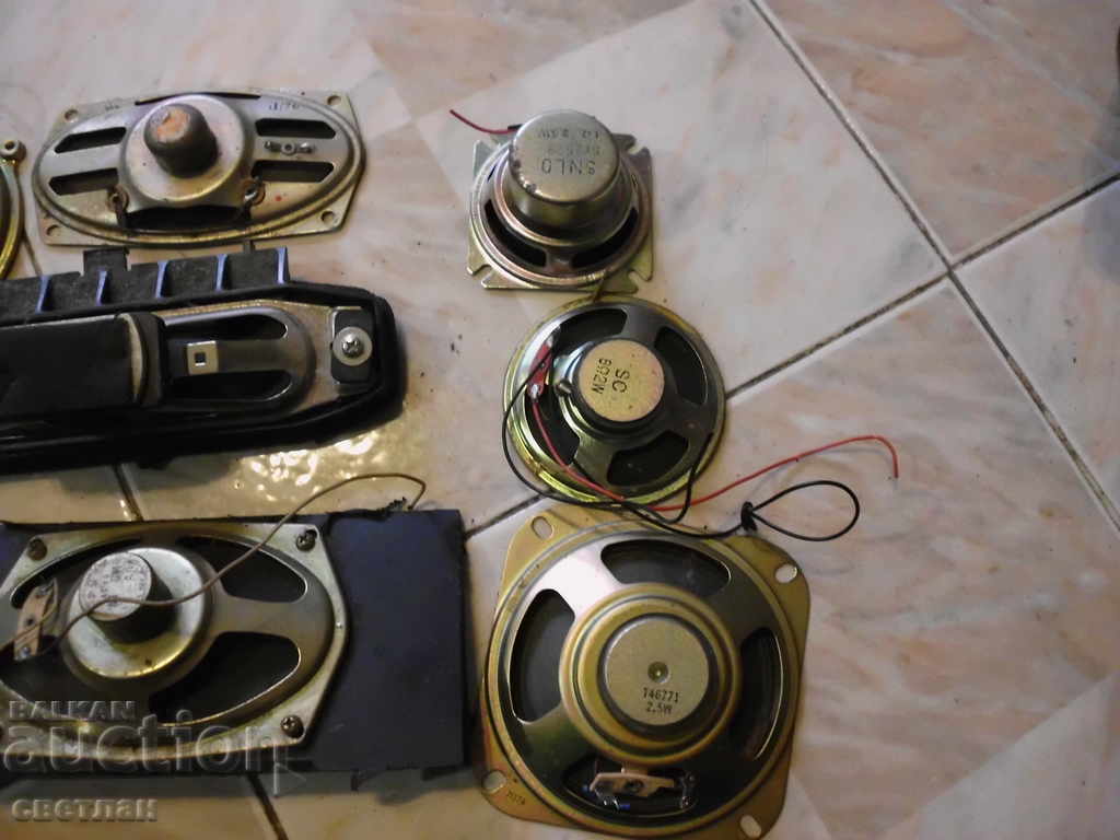 Livrarea MULTE VORBITORI--MUNCĂ