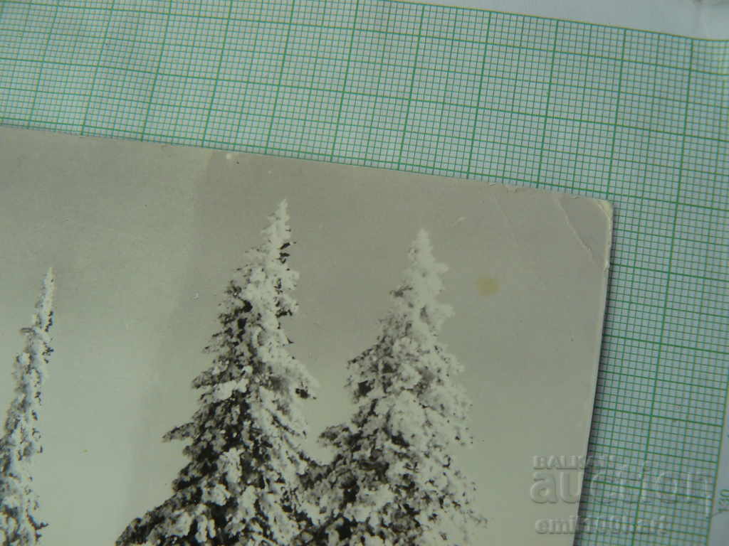 Carte poștală - Peisaj de iarnă cu preț € 0.15 | 0.29 BGN Carte poștală - Peisaj de iarnă cu preț € 0.15 | 0.29 BGN