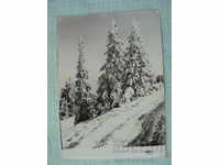 Carte poștală - Peisaj de iarnă