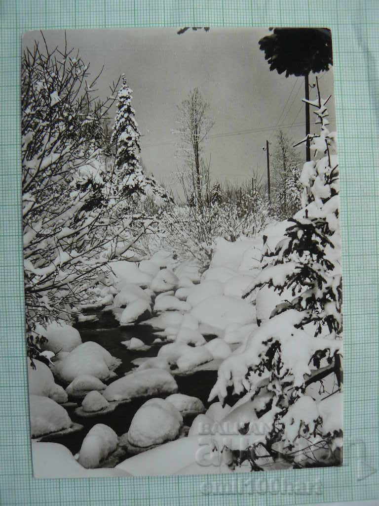 Carte poștală - Peisaj de iarnă