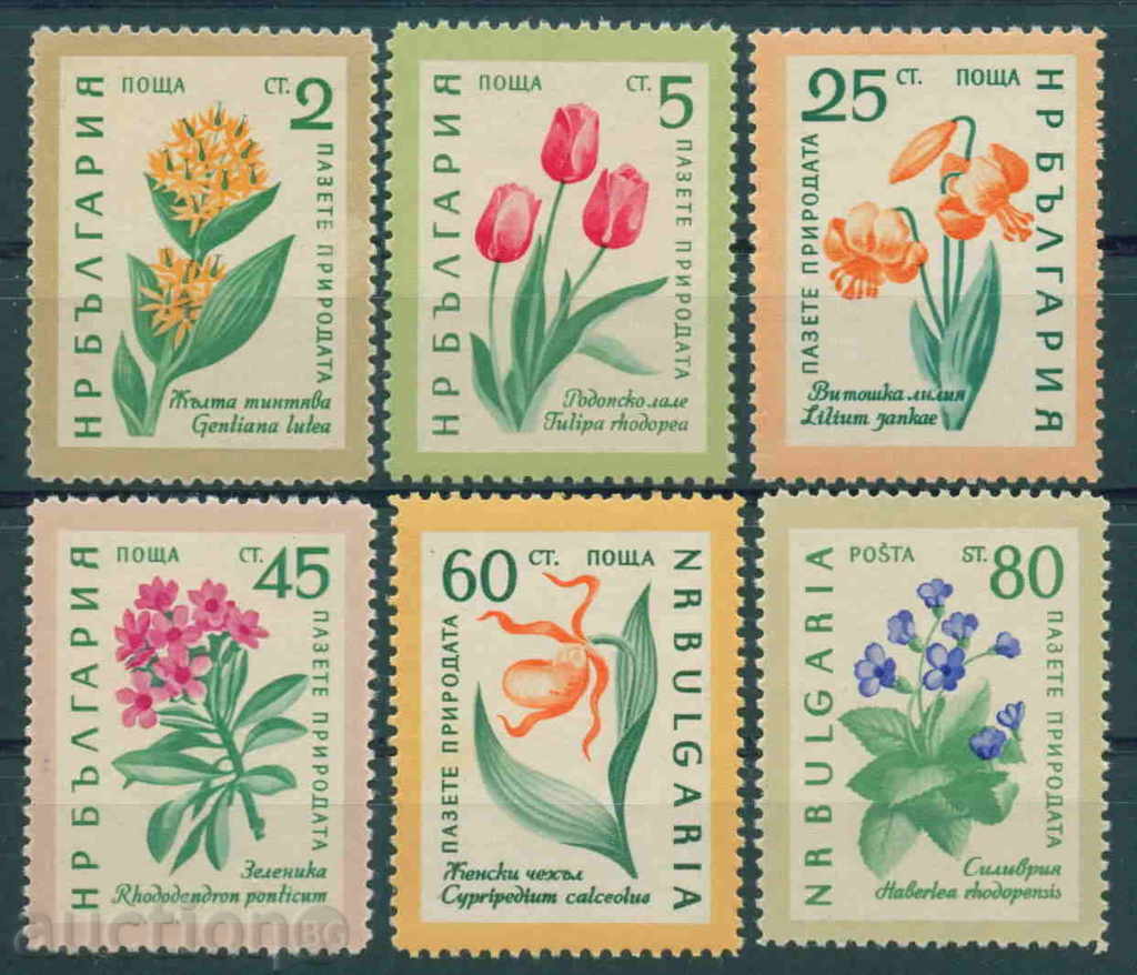 1225 България 1960 Пазете природата - цветя. **