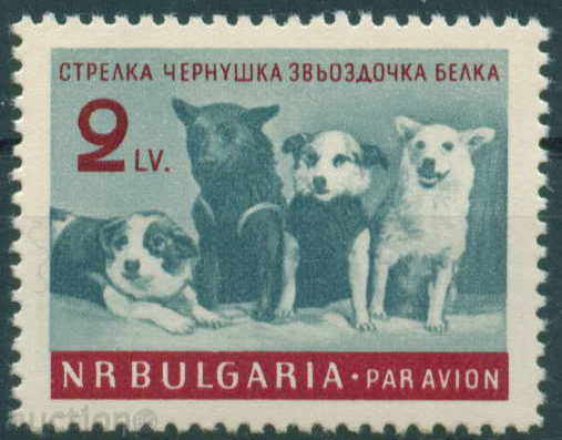 1299 Bulgaria 1961 First cosmonauts - dogs. **