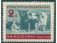 1299 България 1961  Първи космонавти - кучета. **