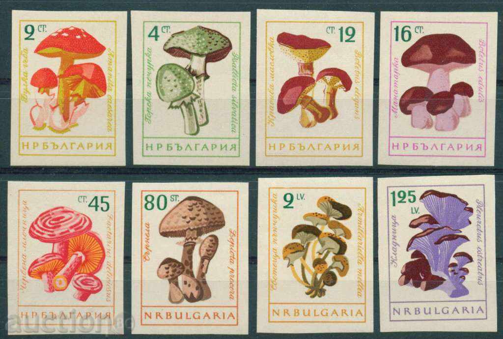 1323 Bulgaria 1961 Mushrooms (with changed colors). Nonaz. **