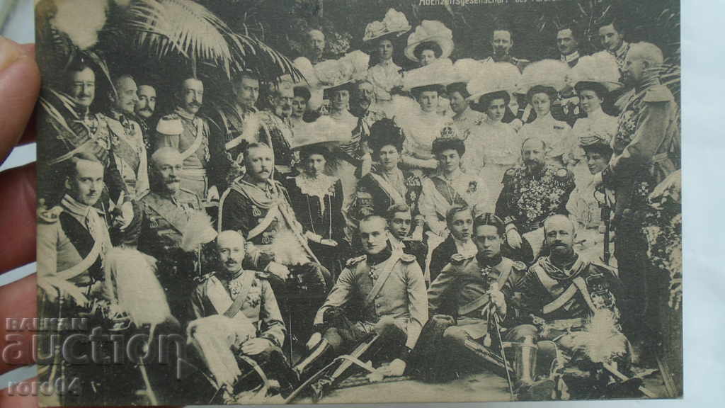 FERDINAND - 5 FERDINAND - 5