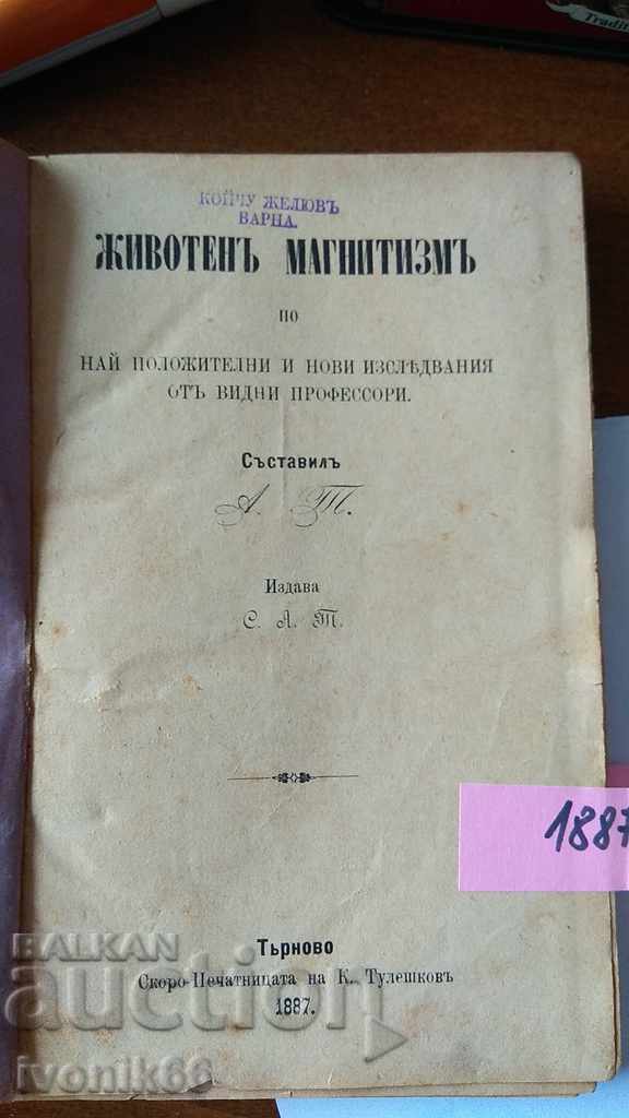 1887 год.Книга Спиртизъм, Магнетизъм,Хипноза