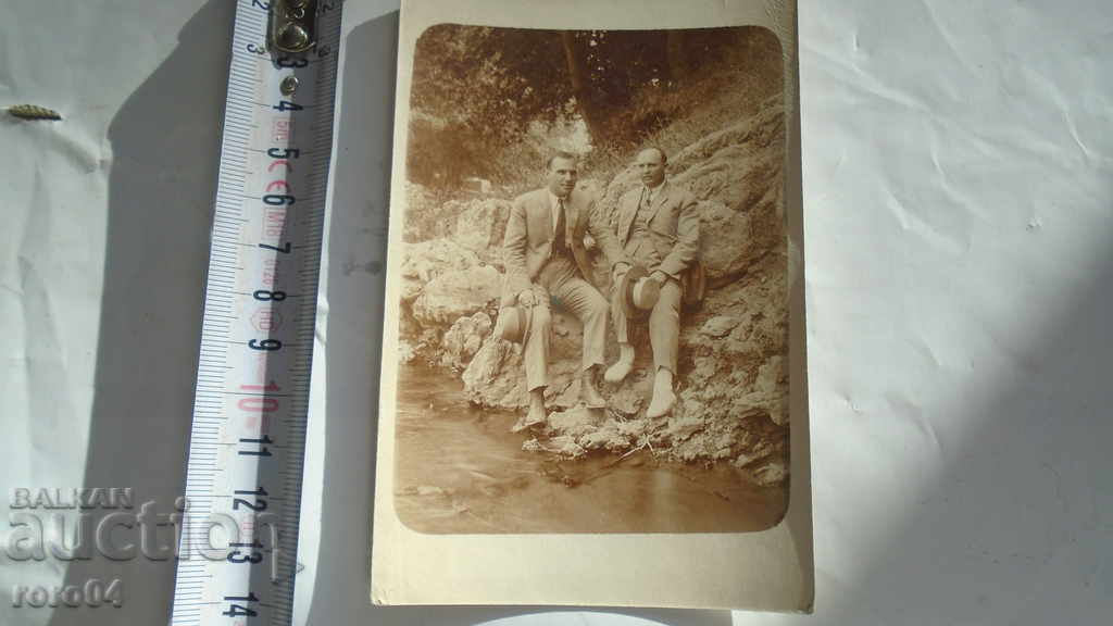 PINE - KORIA with price 15.00 BGN | € 7.67