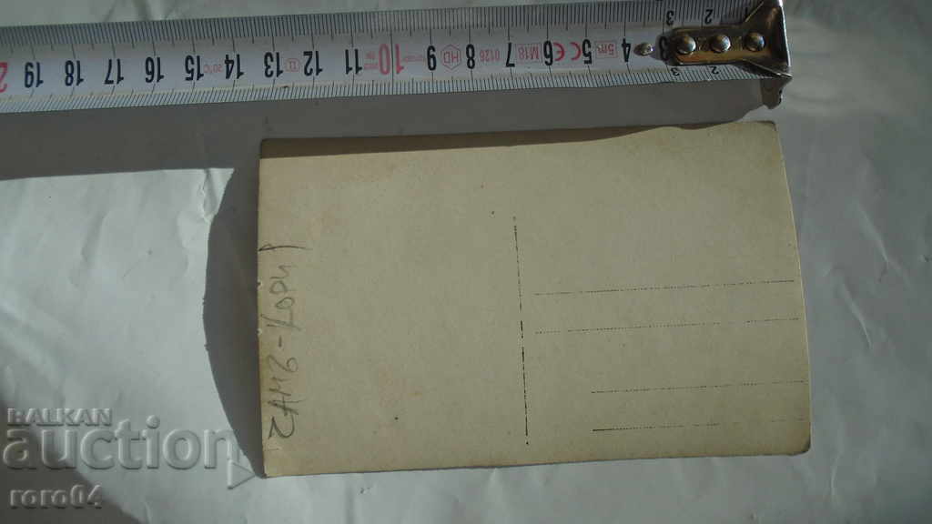 Delivery of PINE - KORIA