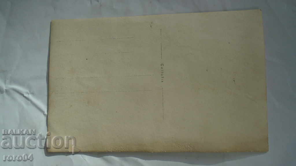 BAIR - NEBUNI - 5