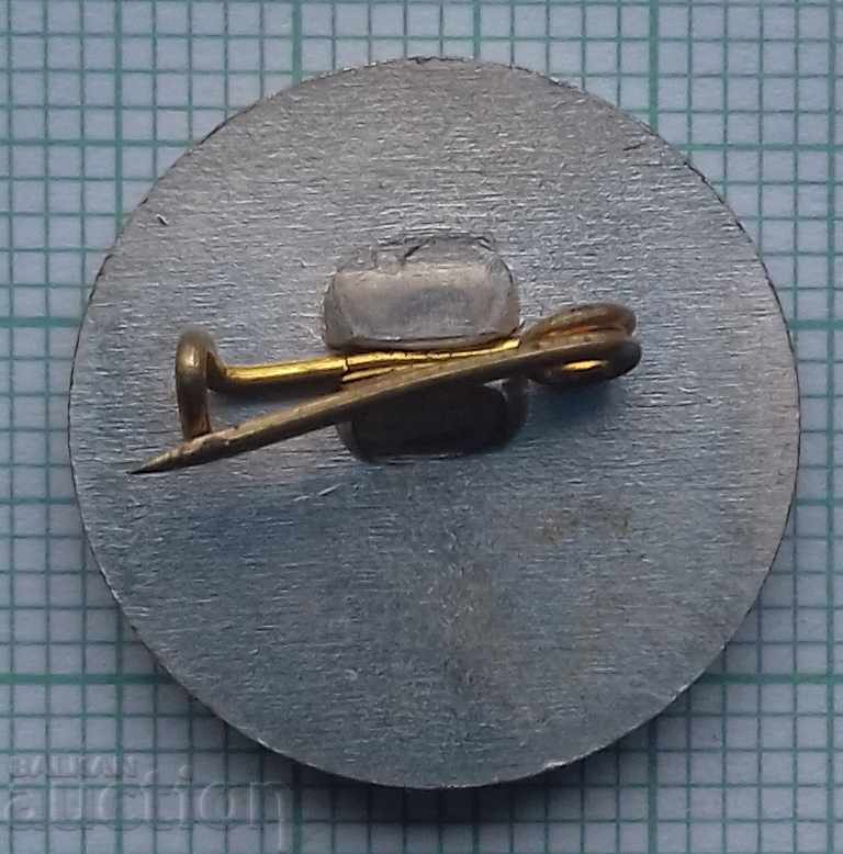 Auction 8886 Badges - Anton Ivanov - Politician of the BCP Auction 8886 Badges - Anton Ivanov - Politician of the BCP