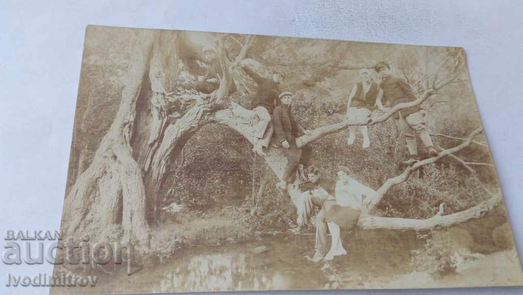 Photo Girls and boys on the tree above the river