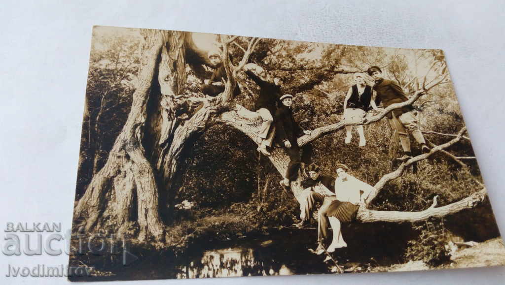 Photo Girls and boys on the tree above the river