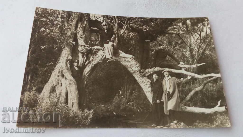 Photo Boys of the tree over the river