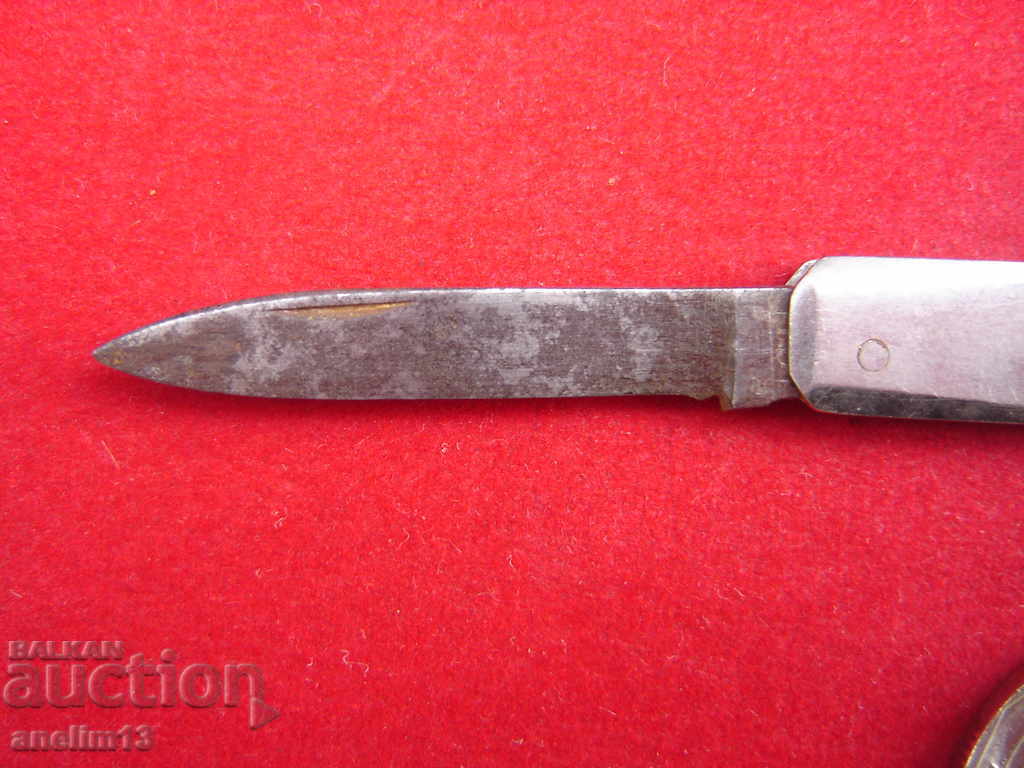 Licitație CUIT DE BUZUUNAR DE COLECȚIE