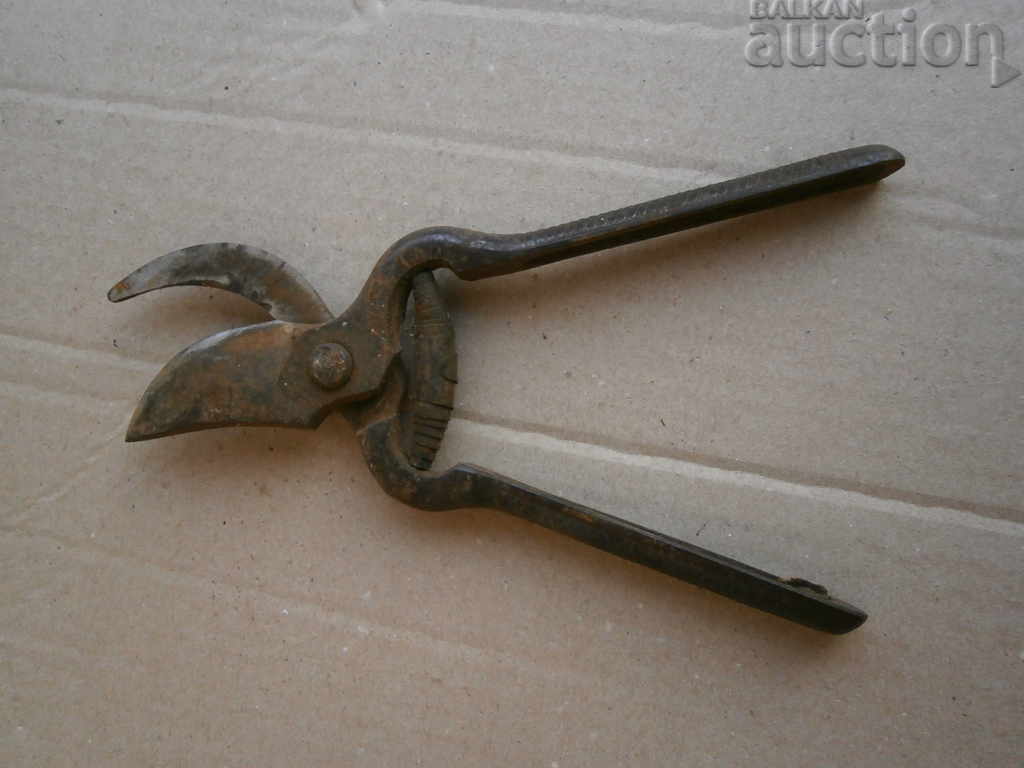 old viticulture scissors