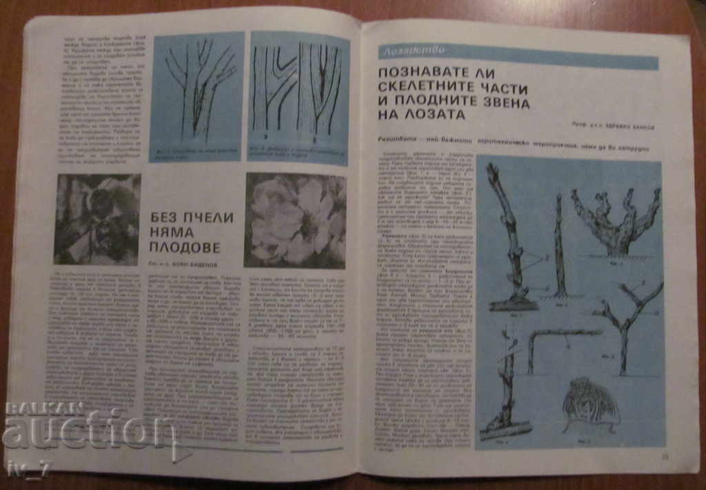 MAGAZINE "PERSONAL AND SUPPORT BUSINESS" - ISSUE 2, 1989 - 5 MAGAZINE "PERSONAL AND SUPPORT BUSINESS" - ISSUE 2, 1989 - 5