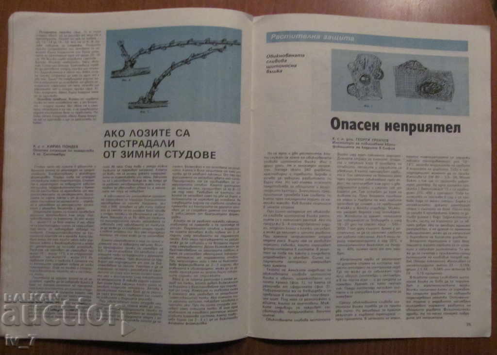 СПИСАНИЕ "ЛИЧНО И ПОМОЩНО СТОПАНСТВО" - БРОЙ 2, 1989 година - 6