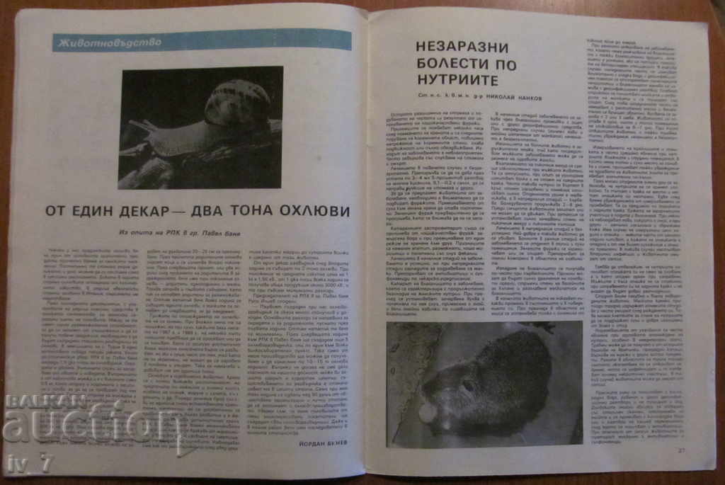 MAGAZINE "PERSONAL AND SUPPORT BUSINESS" - ISSUE 2, 1989 - 7 MAGAZINE "PERSONAL AND SUPPORT BUSINESS" - ISSUE 2, 1989 - 7