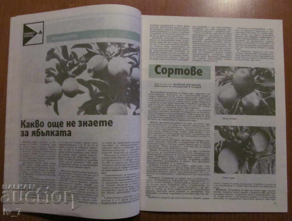 Delivery of MAGAZINE "PERSONAL AND HELPFUL ECONOMY" - ISSUE 4, 1989