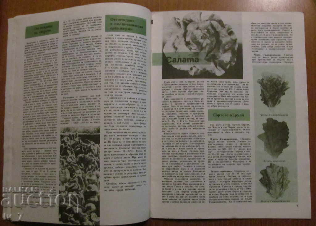 Delivery of MAGAZINE "PERSONAL AND SUPPORT BUSINESS" - ISSUE 10, 1988 Delivery of MAGAZINE "PERSONAL AND SUPPORT BUSINESS" - ISSUE 10, 1988