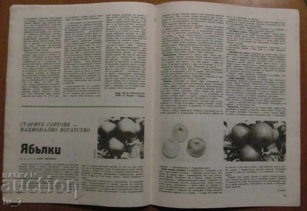 MAGAZINE "PERSONAL AND SUPPORT BUSINESS" - ISSUE 10, 1988 - 6 MAGAZINE "PERSONAL AND SUPPORT BUSINESS" - ISSUE 10, 1988 - 6