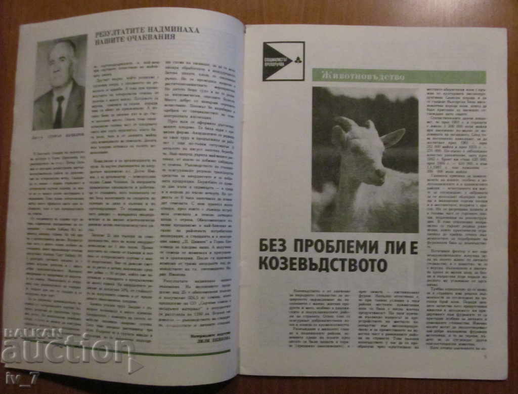Auction  MAGAZINE "PERSONAL AND HELPFUL ECONOMY" - ISSUE 11, 1988